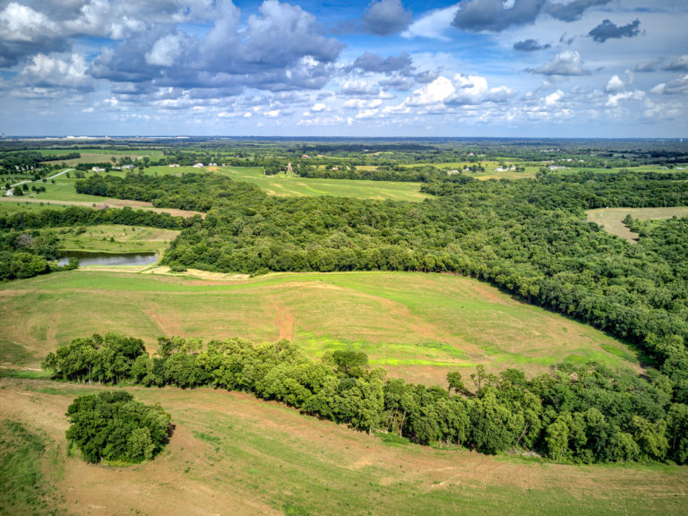 Houses For Auction in Kansas City RE/MAX Auction House