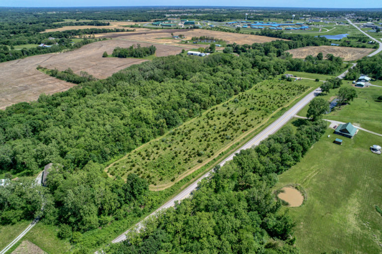 Houses For Auction in Kansas City RE/MAX Auction House